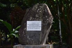 DSC5352