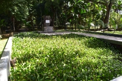 DSC5353