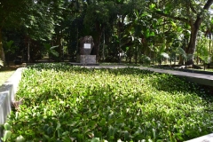 DSC5354