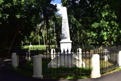 DSC5331