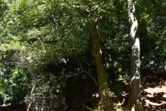 Le Pont des Soupirs