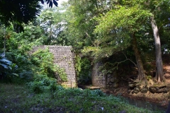 DSC5511