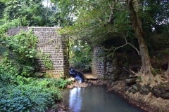 DSC5513