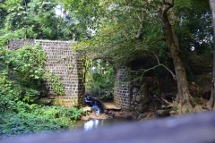 DSC5515