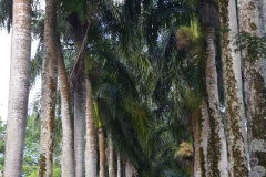 DSC5248