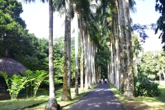 DSC5250