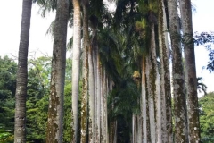 DSC5258