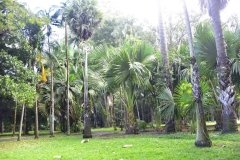 DSC5293