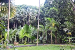 DSC5311
