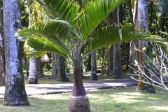 DSC5460
