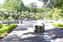 DSC5124