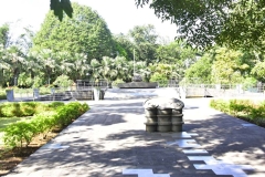 DSC5125