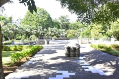 DSC5126