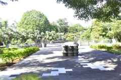 DSC5127