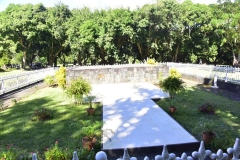 DSC5145