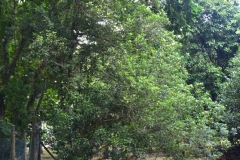 DSC5413