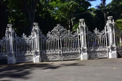 DSC5533