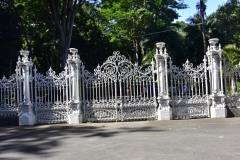 DSC5534