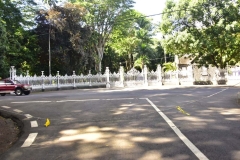 DSC5537