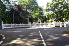 DSC5540