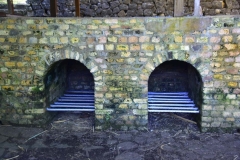DSC5649