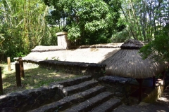 DSC5653